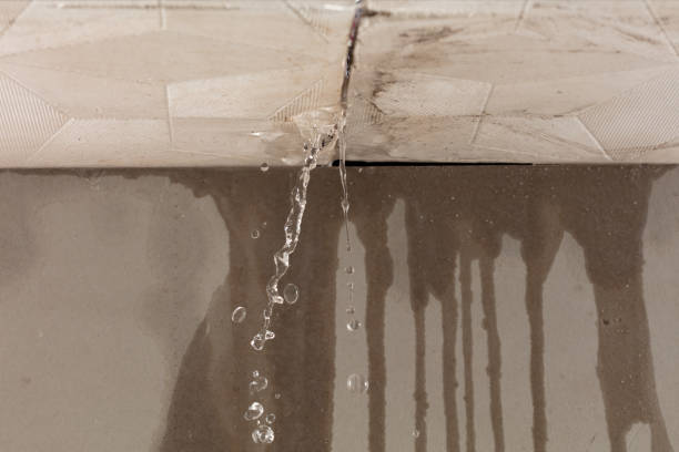 Professional Water Damage Repair technician working in Congress, AZ